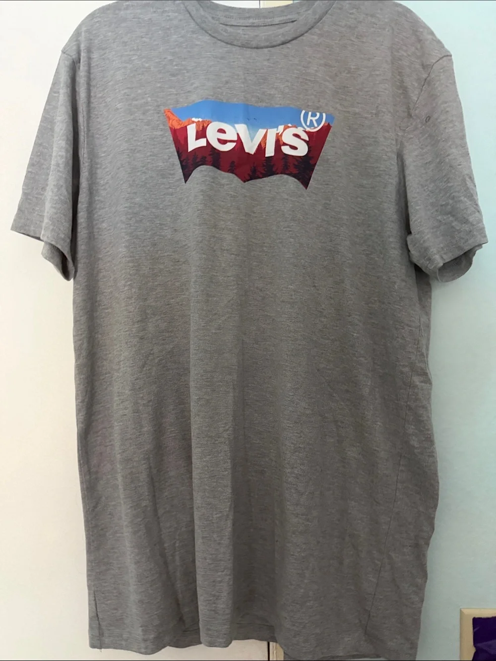 Levi's Gray Short Sleeve Tee with Sunset Logo